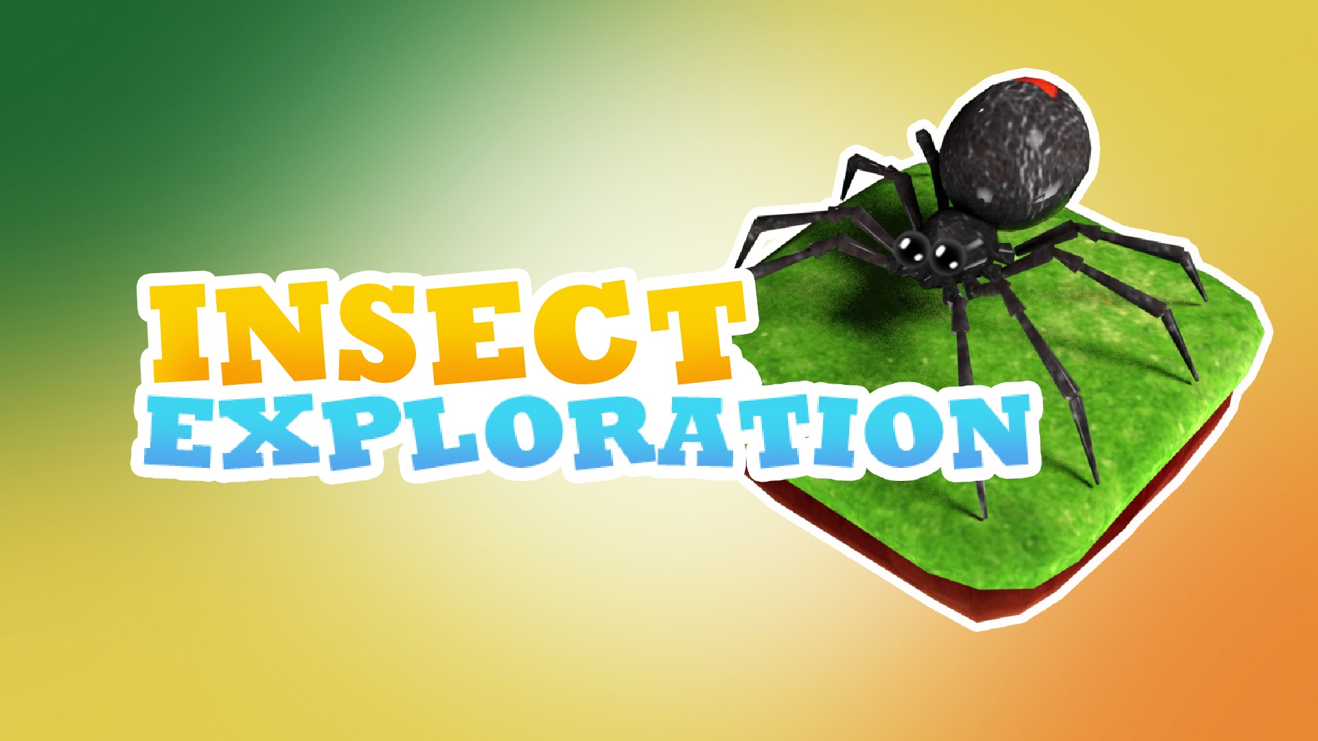 Insect Exploration