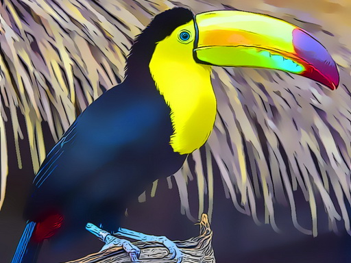 toucan 鸠拼图
