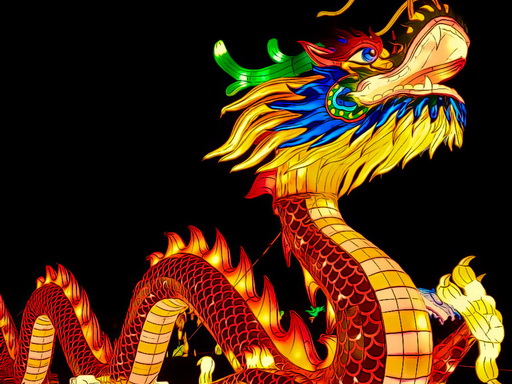 危险龙类拼图