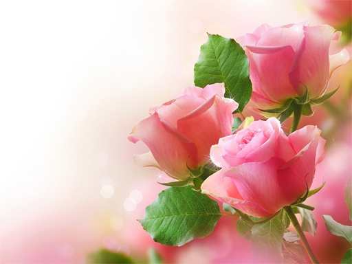 粉紅玫瑰拼圖